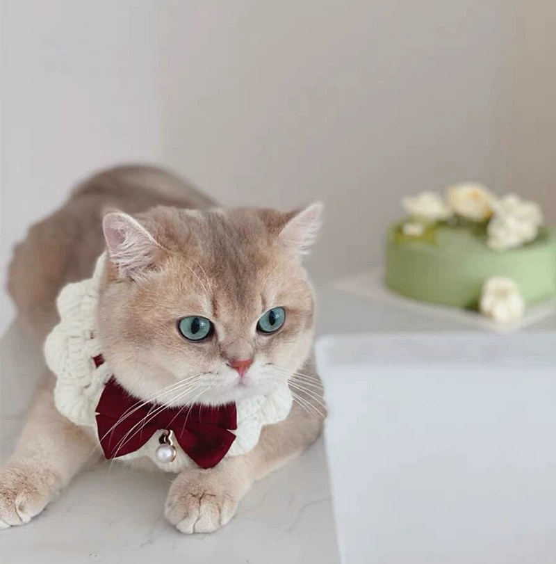 Pet Clothes Luxury Knitting Bow Tie Scarf Cat Accessories Rabbit Accessories Pet Collars