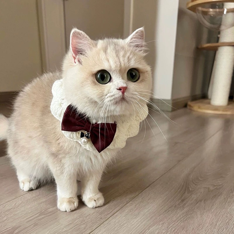 Pet Clothes Luxury Knitting Bow Tie Scarf Cat Accessories Rabbit Accessories Pet Collars