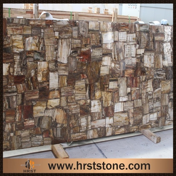 Luxury Fossil Stone Petrified Wood Slabs For Countertops