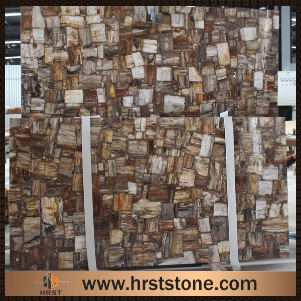 Luxury Fossil Stone Petrified Wood Slabs For Countertops