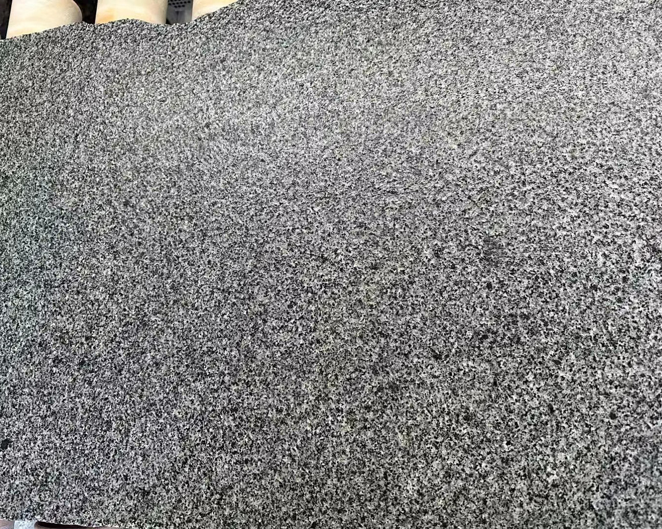 Chinese Natural Stone Padang Dark Grey Flamed Granite Patio Paving Stone G654 Sesame Black Granite