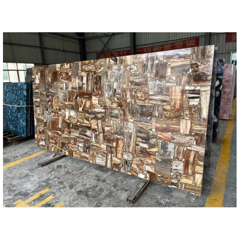 Elegant natural stone petrified wood slab for table and countertops