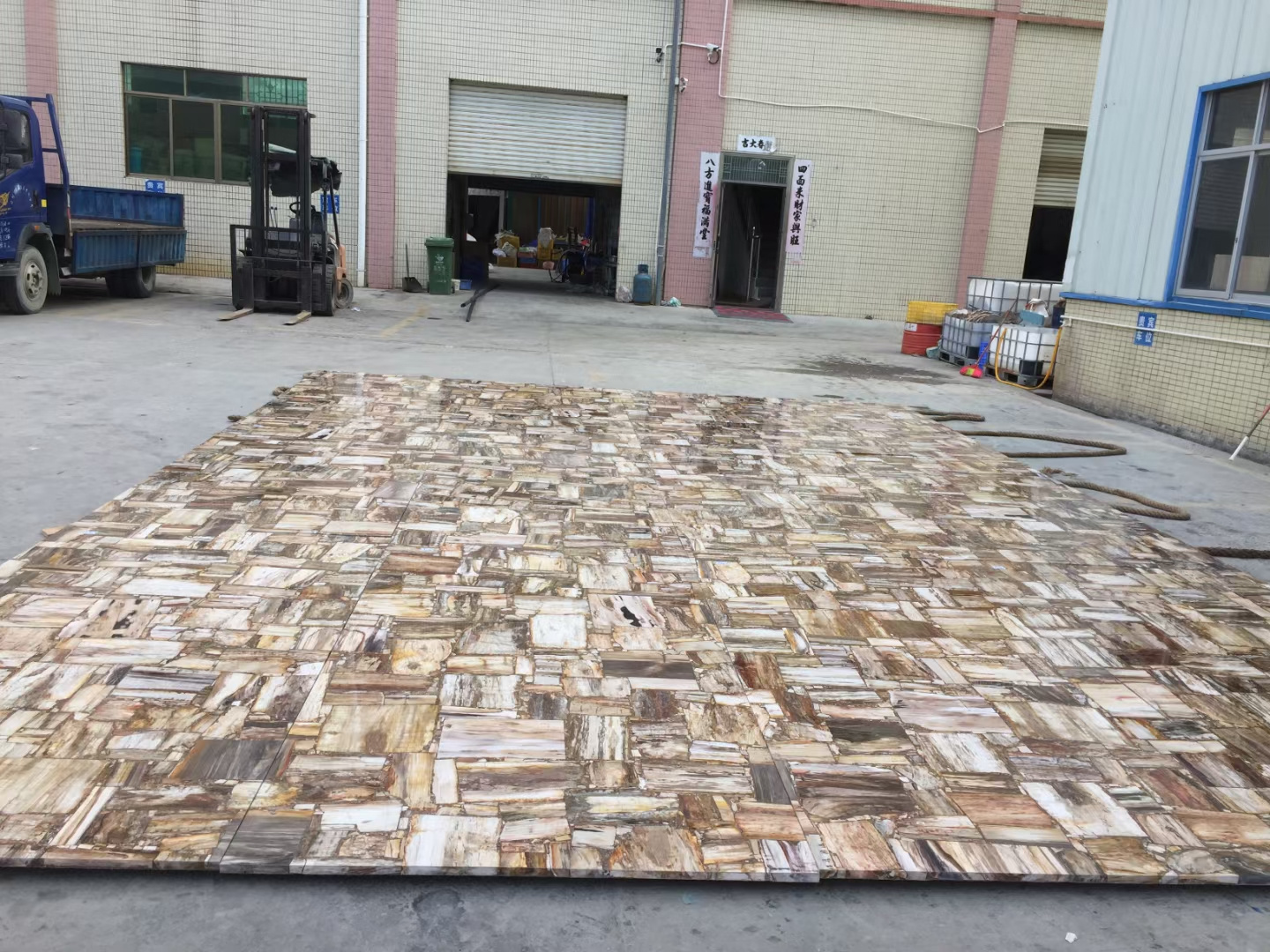 Elegant natural stone petrified wood slab for table and countertops