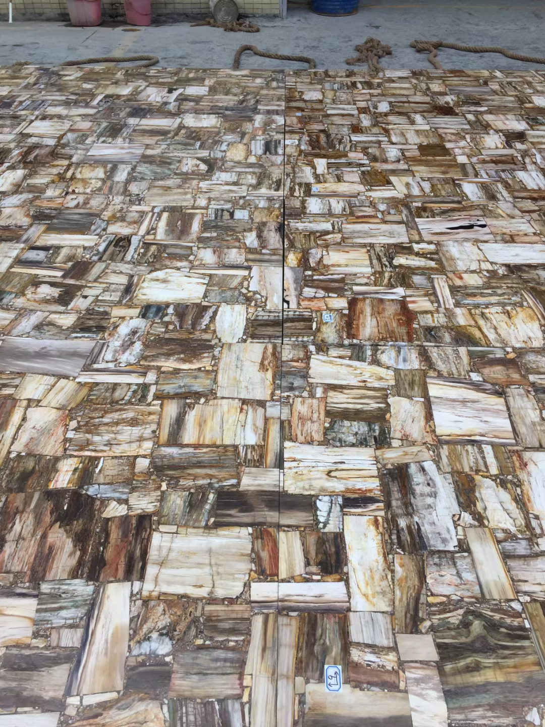 Elegant natural stone petrified wood slab for table and countertops