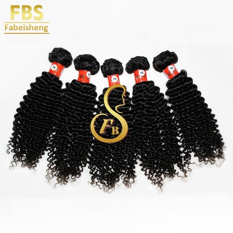 FBS Cuticle Aligned Raw Indian Hair,  Unprocessed Raw Virgin Bulk Human Hair, Perfect Locks 28in Deep Curly Bundles