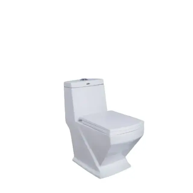 Modern Ceramic One Piece S trap Western Style Sanitary Ware Toilet Seat for Bulk Sale at Best Prices