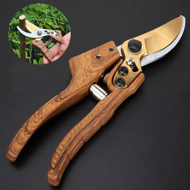 Hot-selling SK5 Blade Shears Garden Pruning Fruit Branches Flower Flowering Fruit Trees Tools Trimming Gardening Scissors