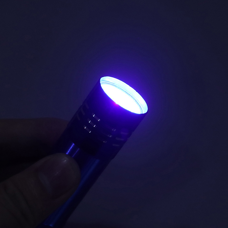 Aluminium Alloy Ultraviolet LED Mini Flashlight Keychai Torch Lights AAA Battery Power Hand Portable UV Flashlight Keychain