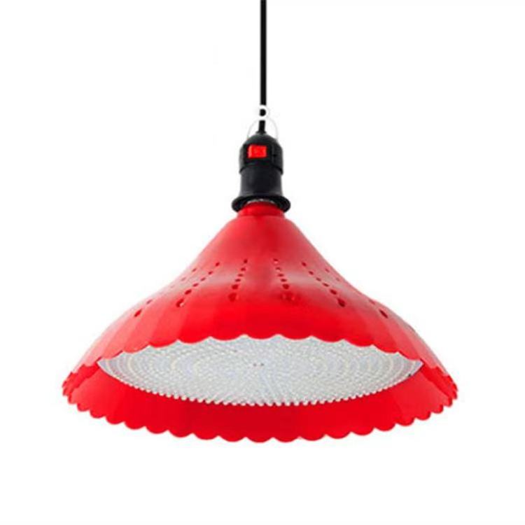 New Design Led Fresh Light  Fruit Light Vegetable  Meat Lamp Light Fresh Lamps