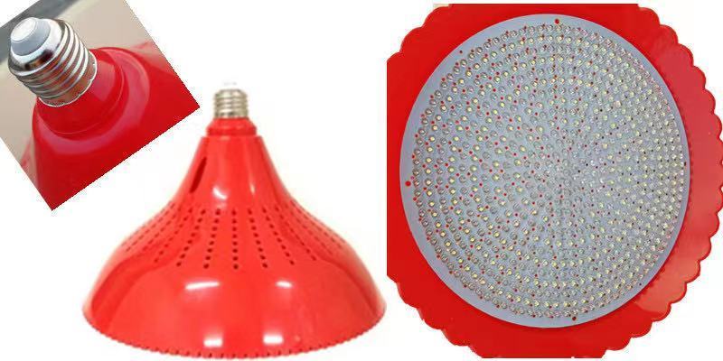 New Design Led Fresh Light  Fruit Light Vegetable  Meat Lamp Light Fresh Lamps