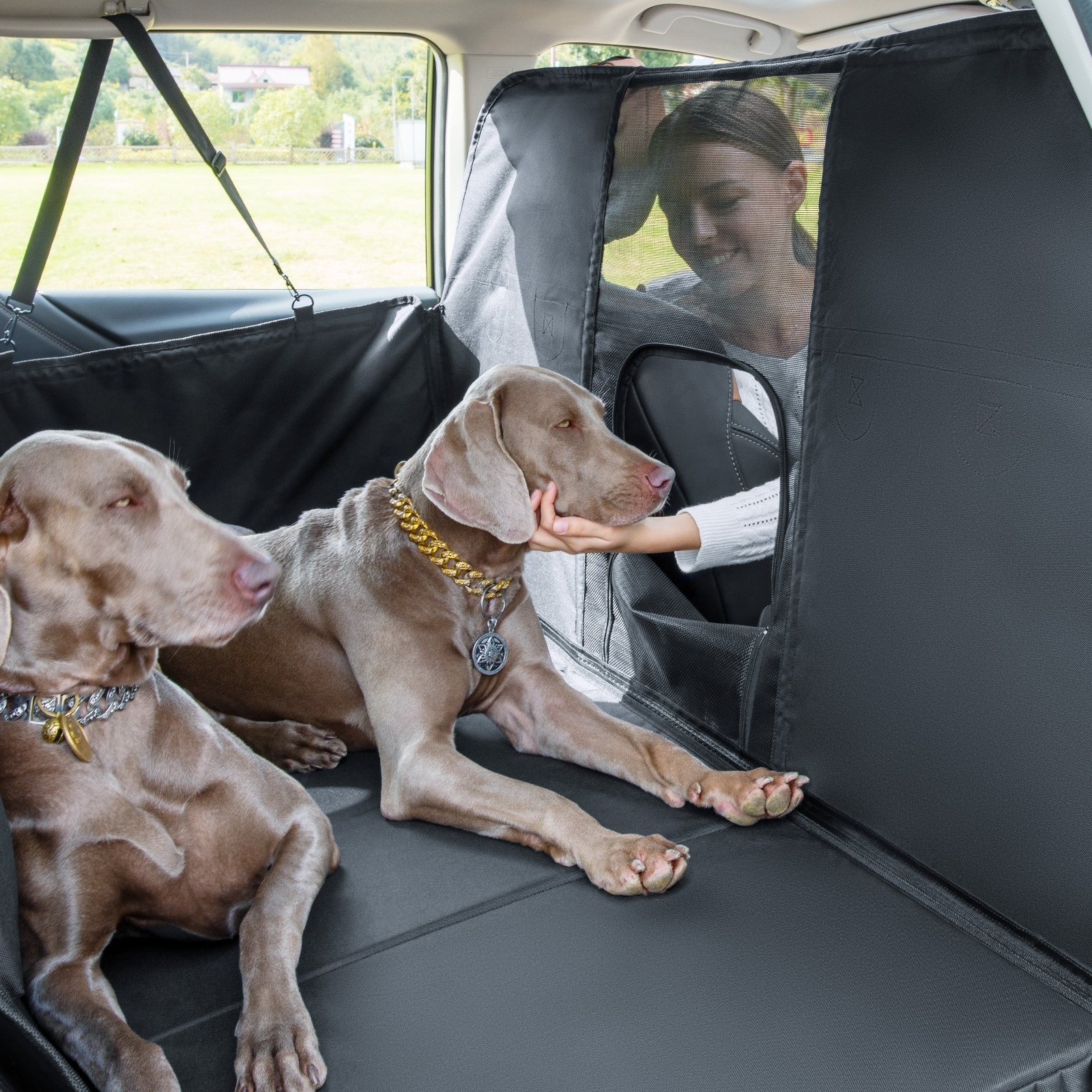 Water Resistant Dog Car Seat Cover Pet Hammock with Mesh Barrier Front Section