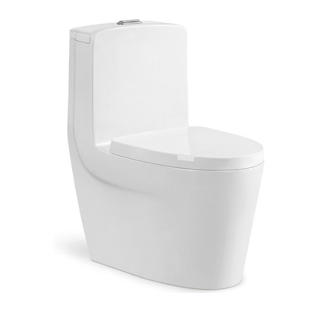 Modern Europe Style Coastal Gravity Flushing White Smart Packing Pattern siphonic One Piece Toilet