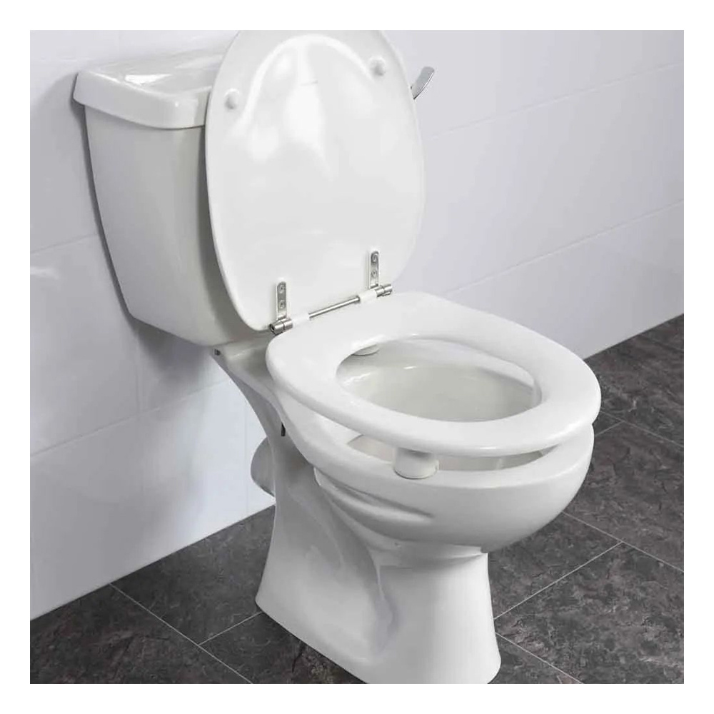 Luxury White Sanitary Ware One Piece And Other Two Piece Toilet Seat Manufacturer