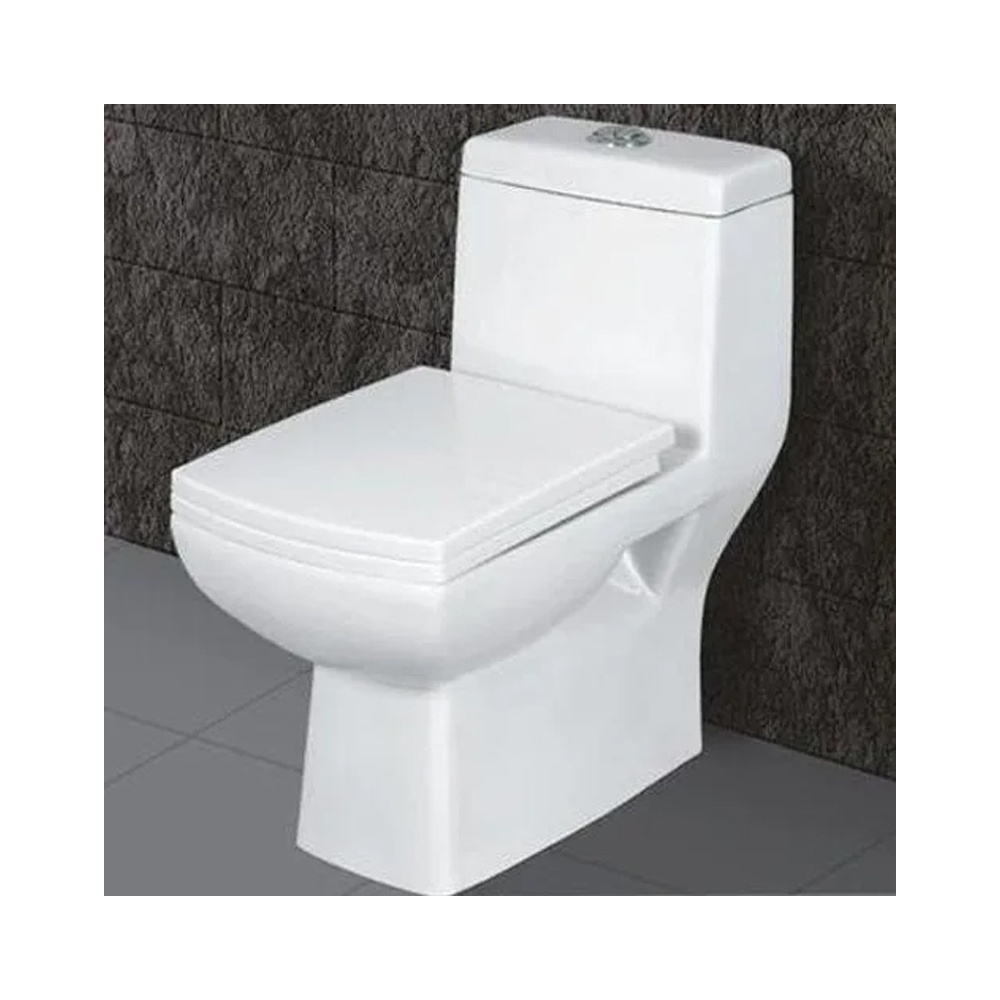 Luxury White Sanitary Ware One Piece And Other Two Piece Toilet Seat Manufacturer