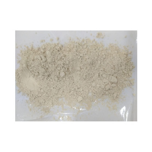 Superior Quality Widely Selling Pure and Natural Herbal Kachur Sugandhi Powder (White Turmeric) for Bulk Buyers