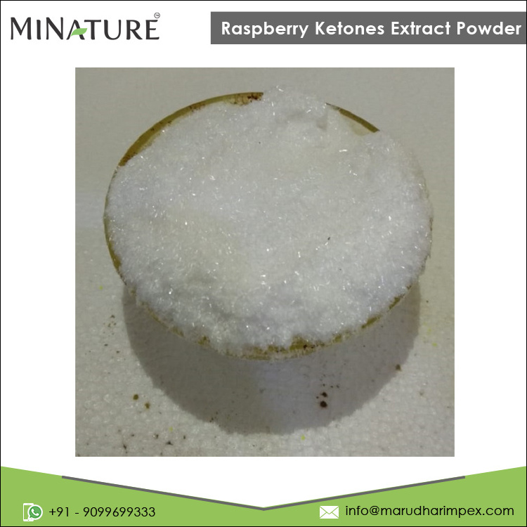 Leading Exporter of Best Quality 100% Pure Private Label Raspberry Ketones Extract Powder at Wholesale Price