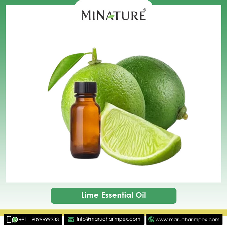 Wholesale Quantity Supplier of Good Quality Pure Essential Oil Natural Lime Essential Oil from India at Factory Price