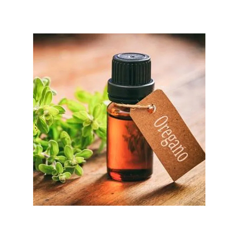 Premium Quality Top Selling Natural Color Contain 100% Organic & Pure Oregano Essential Oil at Wholesale Market Price