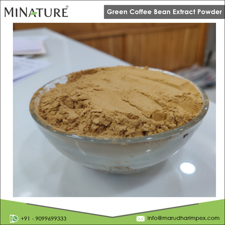 Factory Direct Supply Premium Quality 100% Pure Green Coffee Bean Extract Powder at Wholesale Price