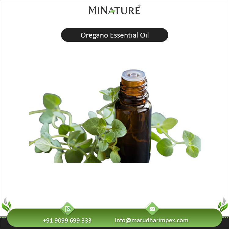 Premium Quality Top Selling Natural Color Contain 100% Organic & Pure Oregano Essential Oil at Wholesale Market Price