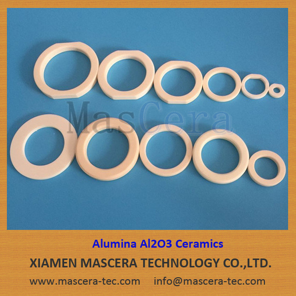 Industrial Ceramics/Alumina Al2O3 Ceramic Seal Rings