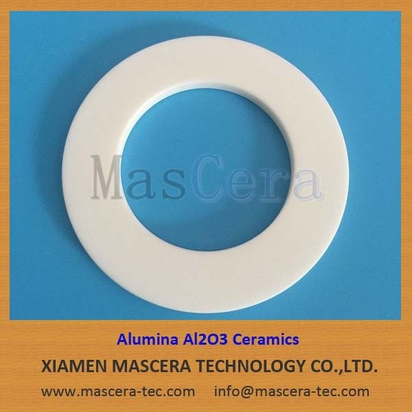 Alumina Al2O3 Ceramic Seals for Pump