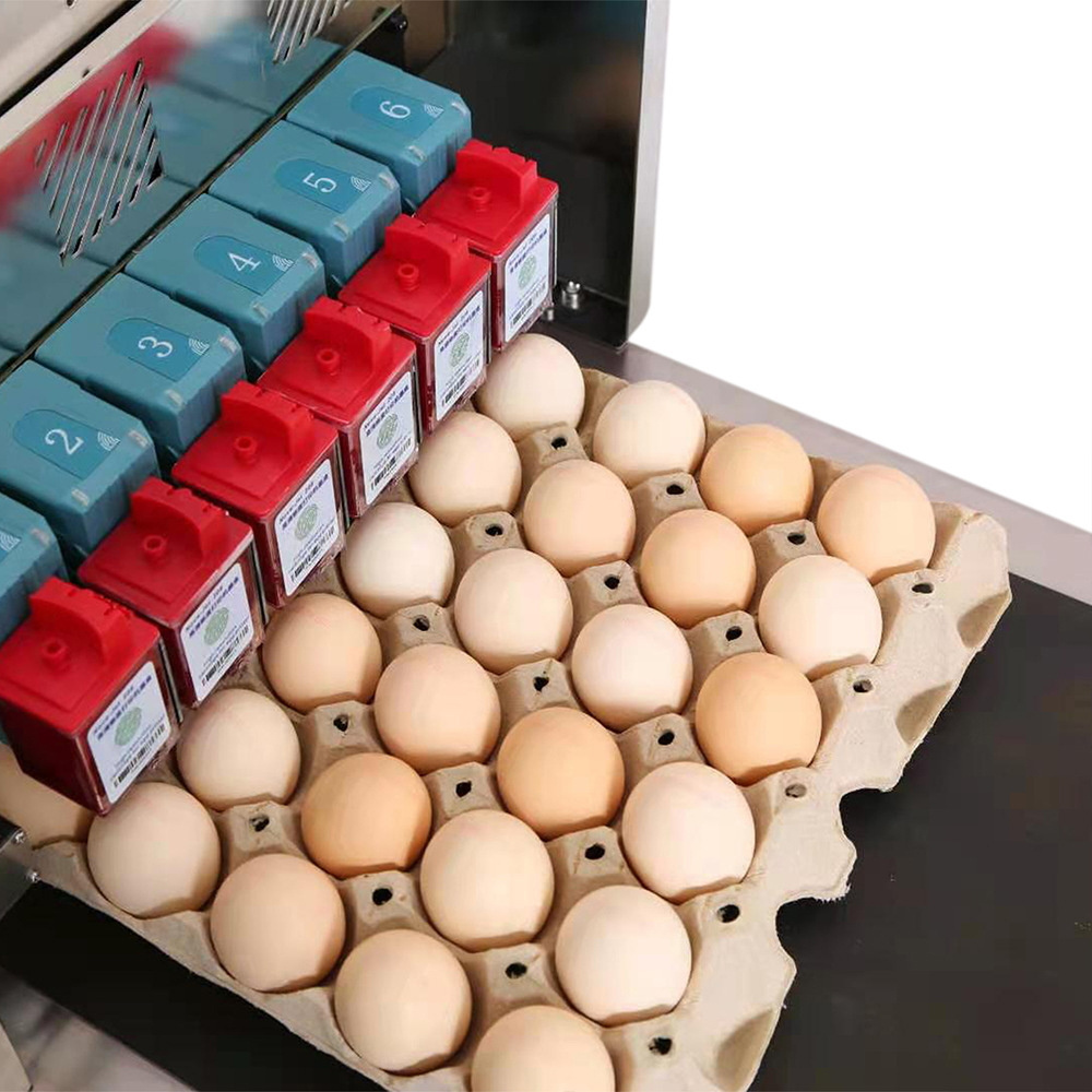 Easy to operate, precise control of color labels, date cartons, fully automatic online inkjet egg printer