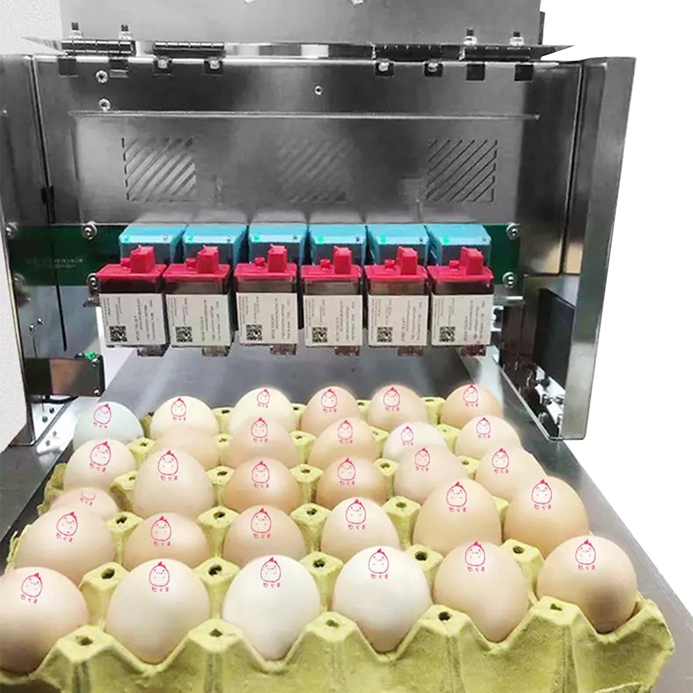 Easy to operate, precise control of color labels, date cartons, fully automatic online inkjet egg printer