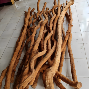 unique roots of liana trees best selling and much sought after roots liana roots for garden and home decoration