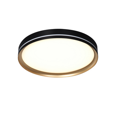 Flush Ceiling Light 2022 Modern Gold Black LED Surface Mount Night Light Bedroom Round  lamparas de techo para interior