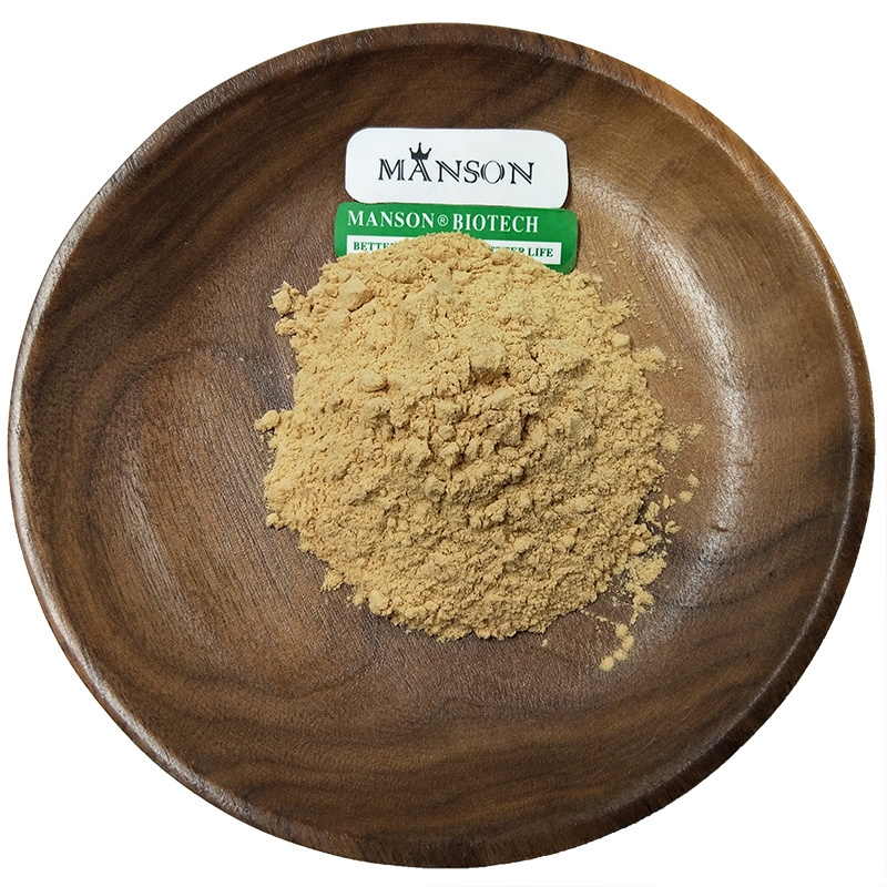 Supply Natural Bamboo Extracts Powder 5% Bambusa vulgaris Flavonoids Pure Bamboo Leaf Extract