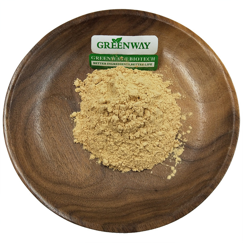 Supply Natural Bamboo Extracts Powder 5% Bambusa vulgaris Flavonoids Pure Bamboo Leaf Extract