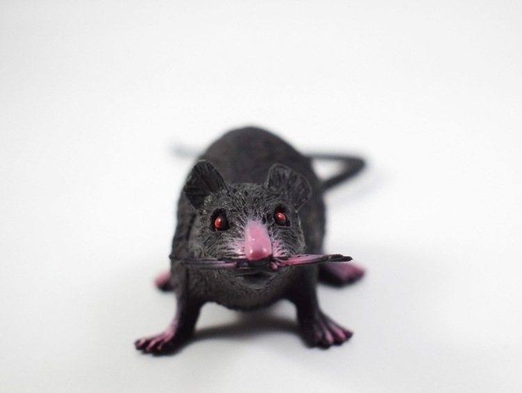 Novelty Hilarious simulate realistic   Mice Lifelike Halloween Rats Decoration Plastic Mouse Figurines toys