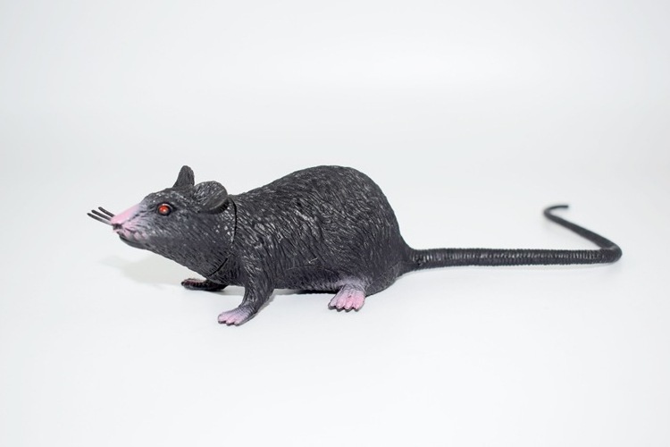 Novelty Hilarious simulate realistic   Mice Lifelike Halloween Rats Decoration Plastic Mouse Figurines toys