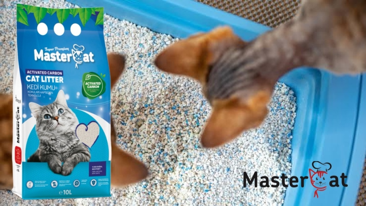 Wholesale 10L MasterCat Sand - High-Quality Fast Clumping Bentonite Cat Litter Scented with Marseille Soup for Cats