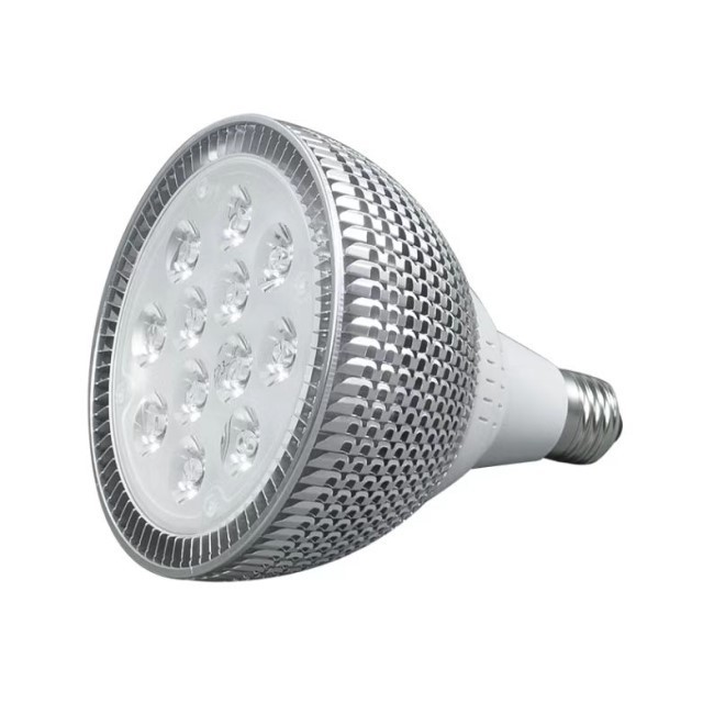 9W 15W E27 PAR30 PAR38 LED Bulb