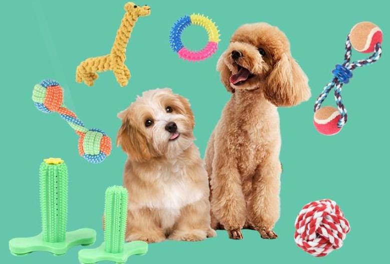 Amazon explosion manufacturers direct sales of S-square pet educational toys dog snacks toy pet supplies