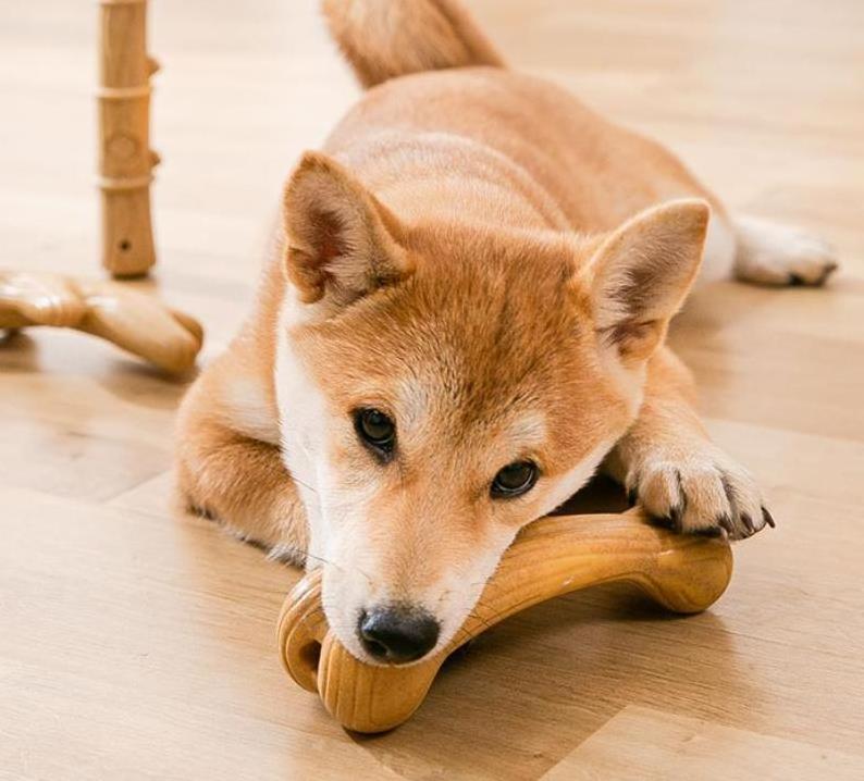 Dog teething toy Wood plastic antler stick Small, medium and large dog Corgi fight bite resistance and boredom training pet toy