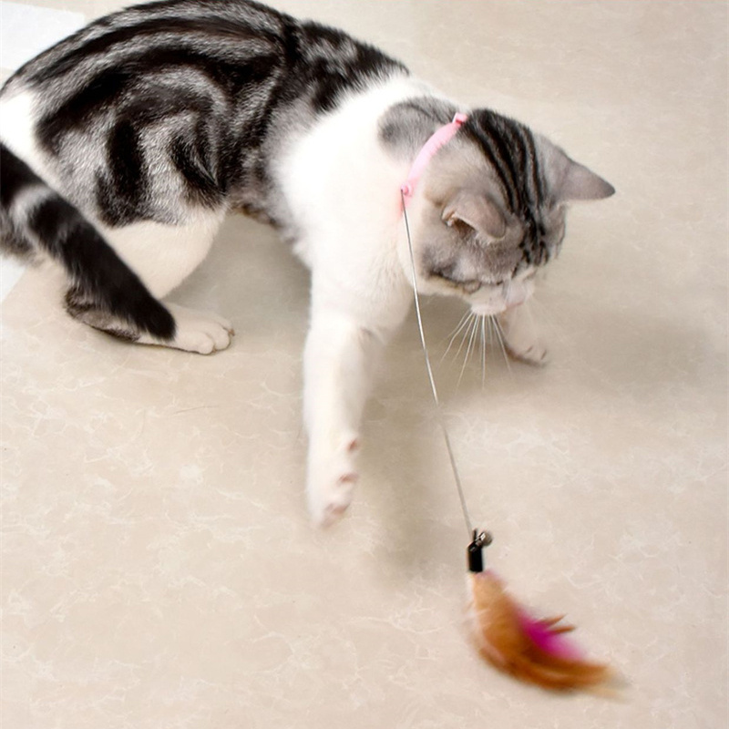 Interactive Cat Toys Funny Feather Teaser Stick with Bell Pets Collar Kitten Playing Teaser Wand Training Toys for Cats Supplies