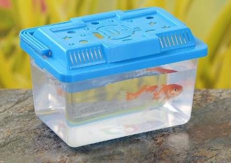 Stall small goldfish box small turtle plastic children carrying small fish tank  transparent small fish tank household