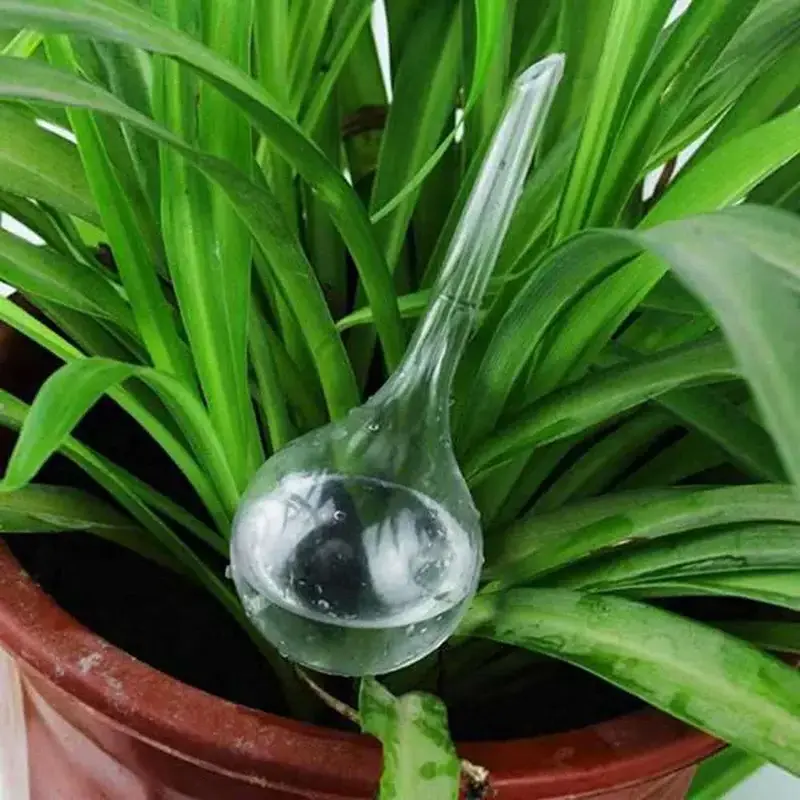 Automatic Watering Device Globes Vacation Houseplant Plant Pot Bulbs Garden Waterer Flower Water Drip Watering