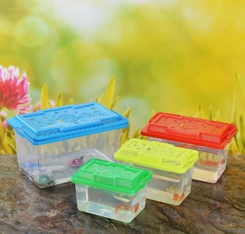 Stall small goldfish box small turtle plastic children carrying small fish tank  transparent small fish tank household