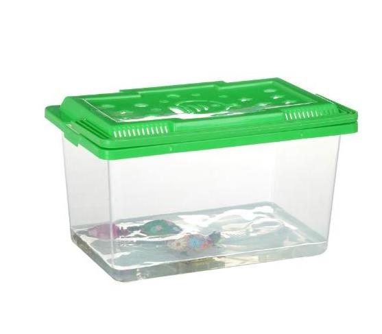 Stall small goldfish box small turtle plastic children carrying small fish tank  transparent small fish tank household