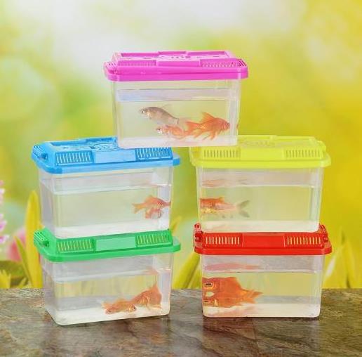 Stall small goldfish box small turtle plastic children carrying small fish tank  transparent small fish tank household