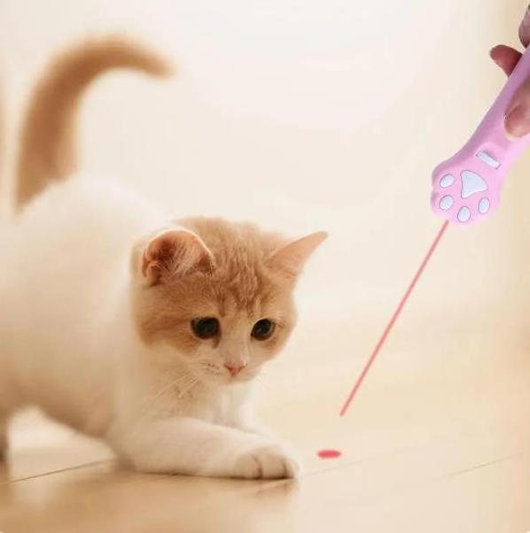 Laser Cat Teasing Stick 5 Modes + Red Dot LED Light Pointer Indoor Interactive Projection Toys Dog Kitten Pet Accessories