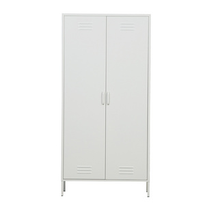 Two Door Classic Metal Clothes Wardrobe Steel Cabinet Bedroom Wardrobe Living Room Furniture