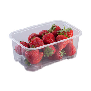 Strawberry Punnet 250 g stack able containers clear plastic storage boxes