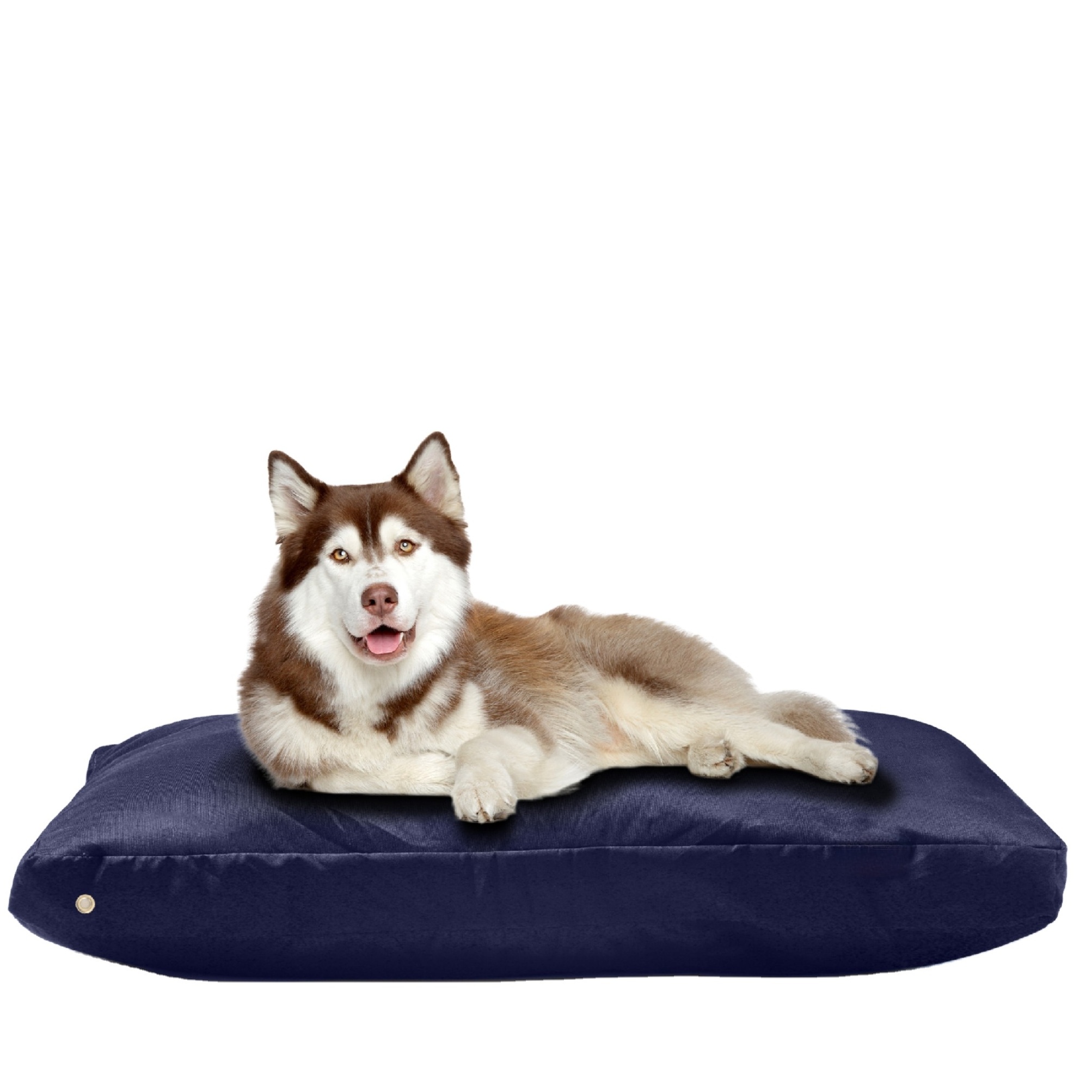 Pet Bed Pillow With Waterproof Polyester Oxford Fabric and Microfiber Pillow Insert with zipper to easy remove