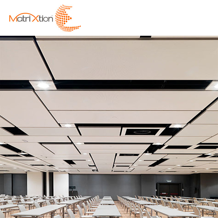 Matrixtion Raft Modern Custom Luxury Aluminum Suspended Decoration Ceiling Tiles