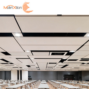 Matrixtion Raft Modern Custom Luxury Aluminum Suspended Decoration Ceiling Tiles